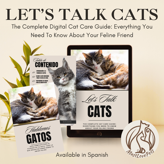 Digital cat care guide with tablet displaying 'Let's Talk Cats' on a light background