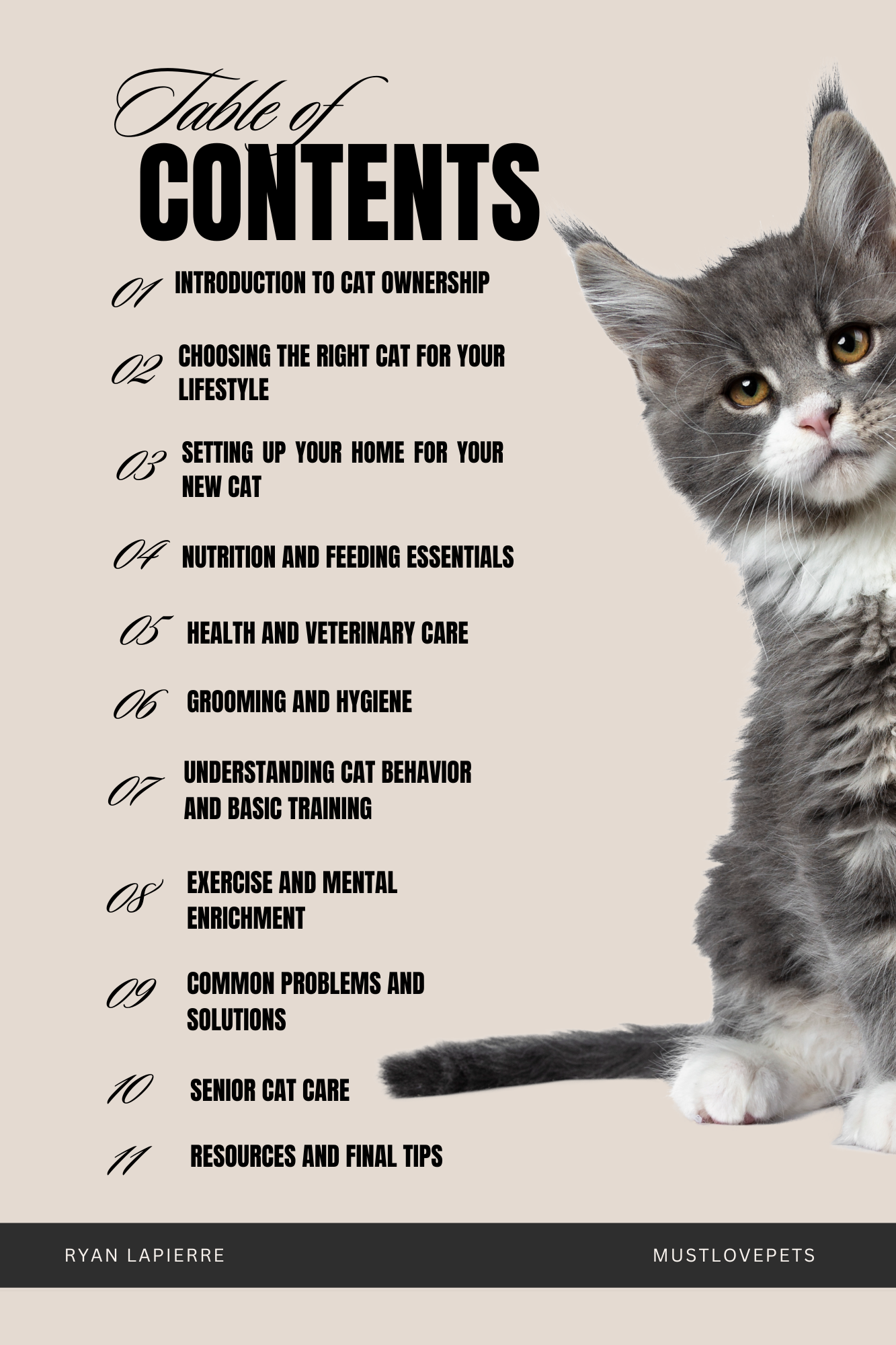 Let's Talk Cats: The Complete Cat Care Guide (PDF)