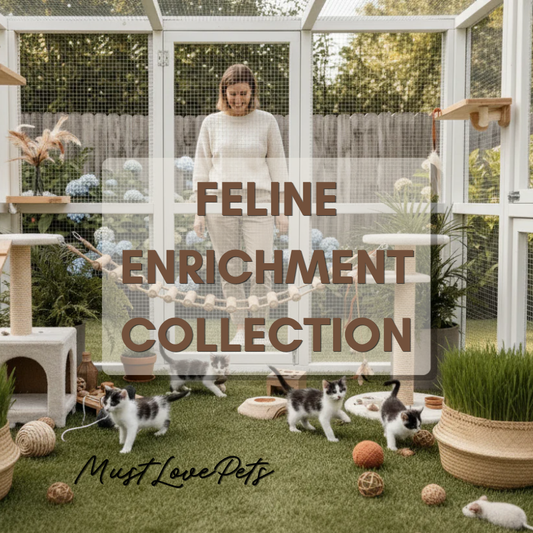 Feline Enrichment Collection