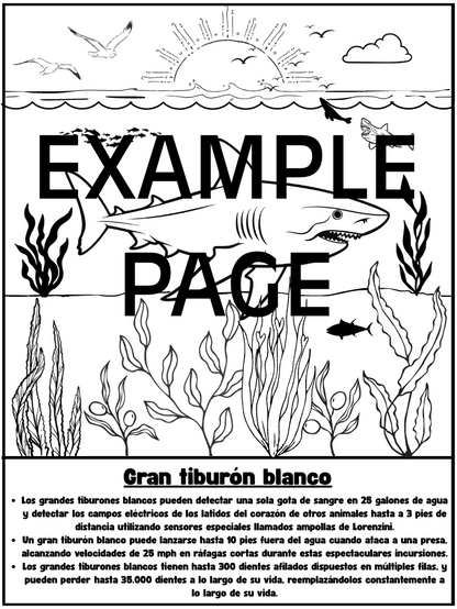 Animal Coloring Book with Fun Facts (PDF)