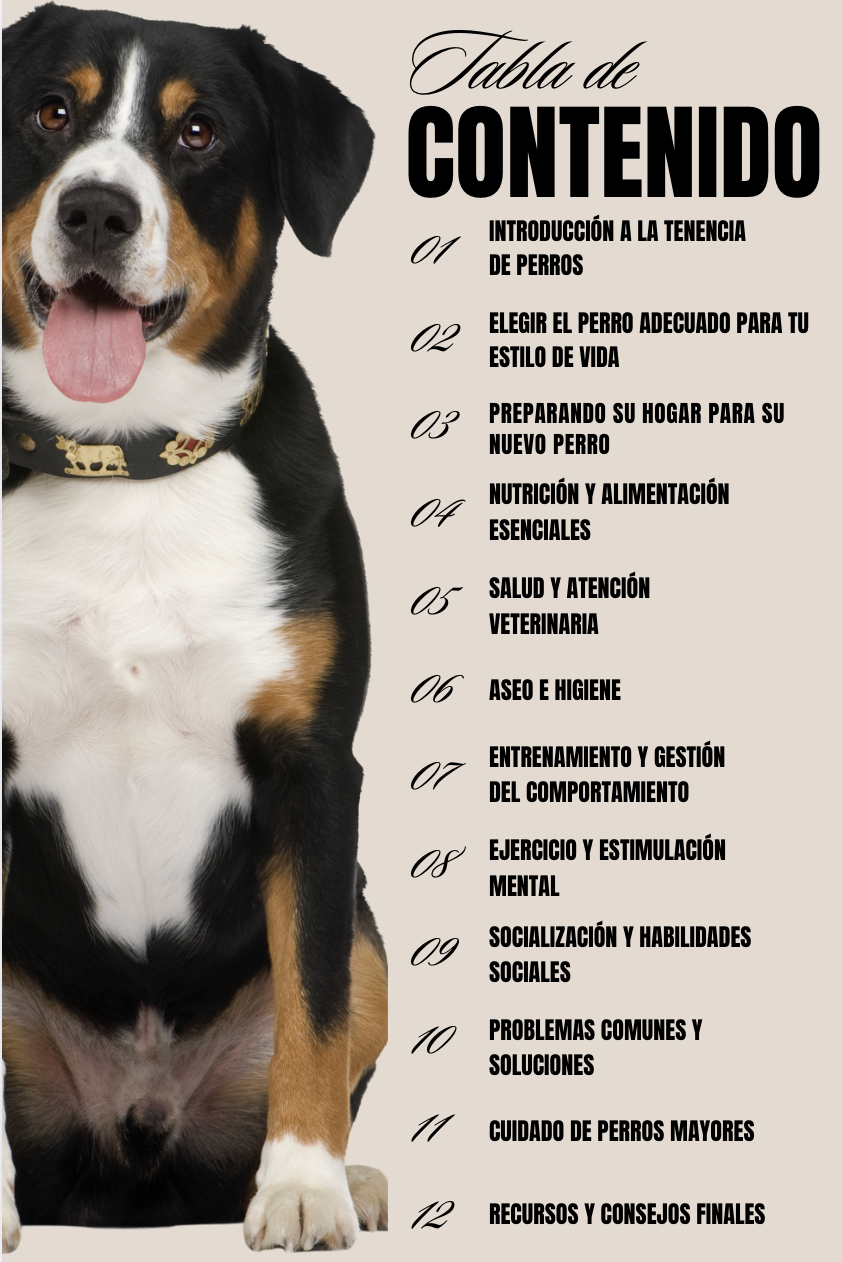 Let's Talk Dogs: The Complete Dog Care Guide | Available in English & Spanish (PDF)
