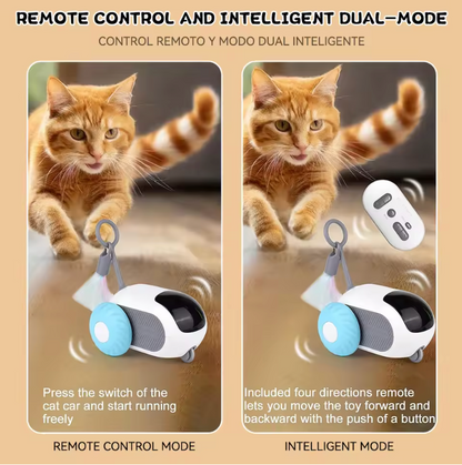 Smart Cat Toy Car with Remote Control & Obstacle Avoidance with Interactive Automatic Rolling Ball (2 Colors)