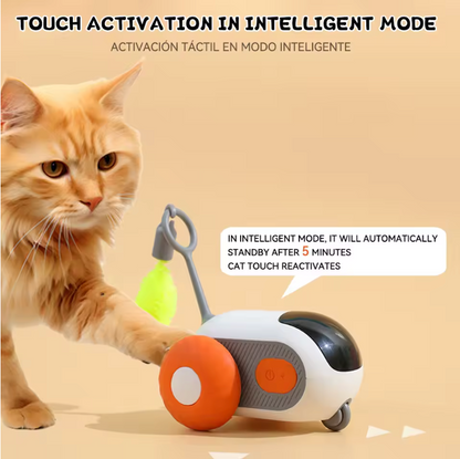 Cat interacting with a small robot toy on a beige background