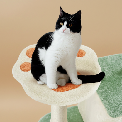 Black and white cat sitting on a cat tree with orange cushion