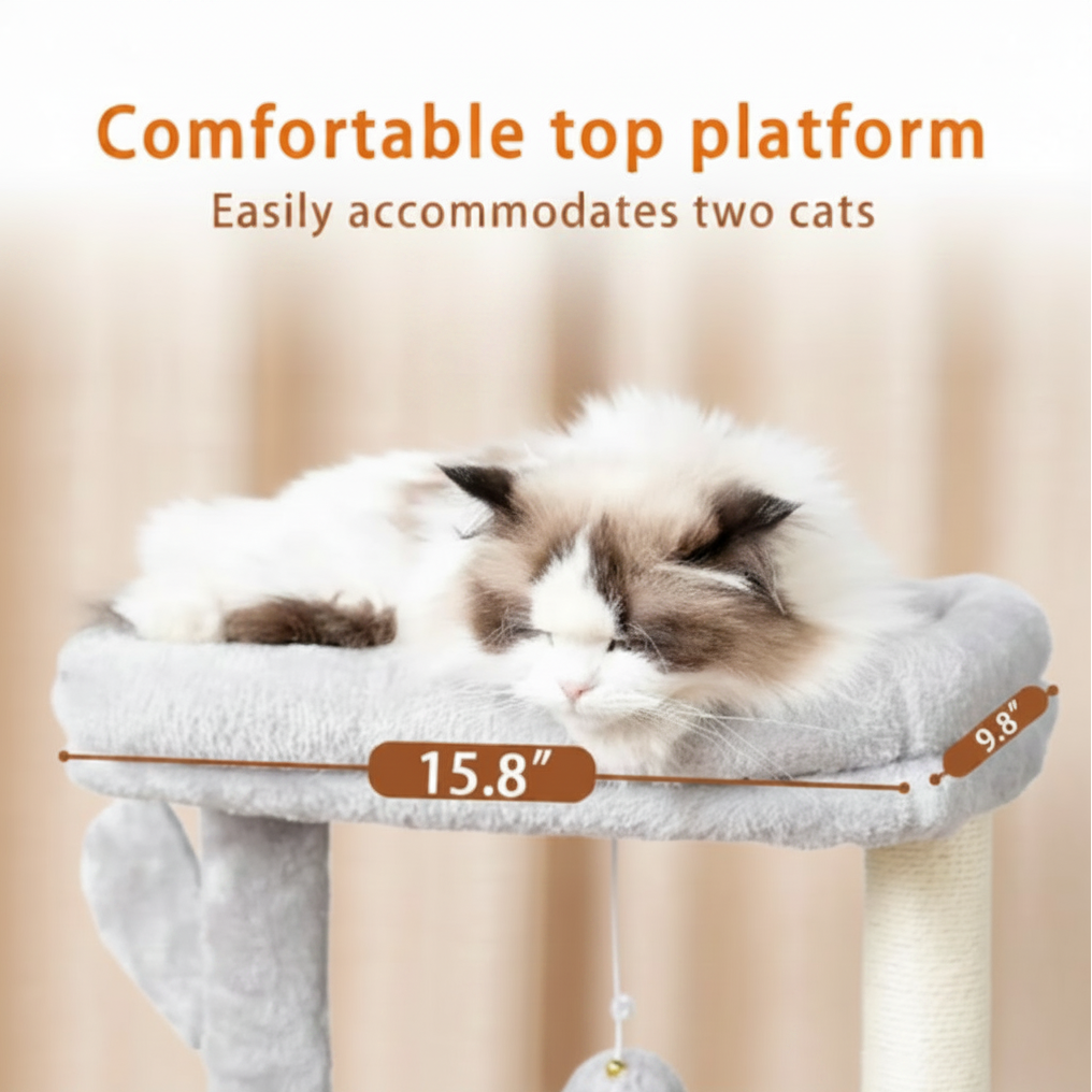 Cat sitting on a cat tree with text indicating a comfortable top platform for two cats.