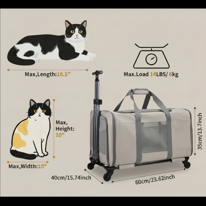Pet carrier with dimensions and a cat illustration on a beige background