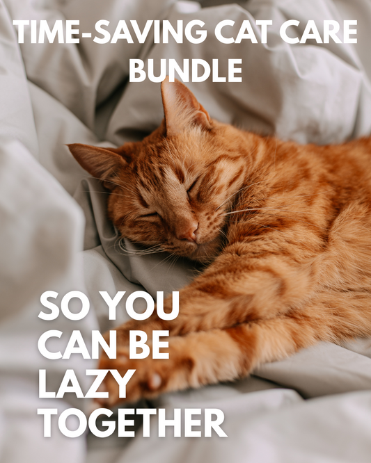 Time-Saving Cat Care Bundle | Smart Cat Parent Technology | Automated Cat Care System | Must Love Pets