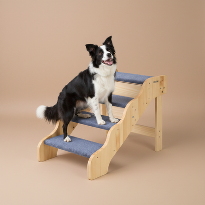Dog using a set of wooden stairs with blue padding on a beige background