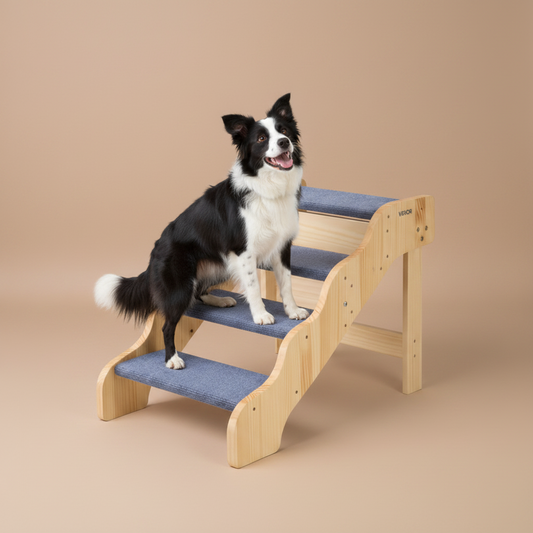 Dog using a set of wooden stairs with blue padding on a beige background