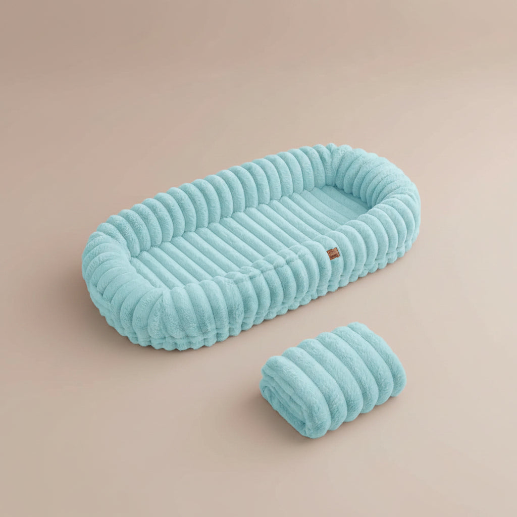 Teal textured pet bed on a beige background
