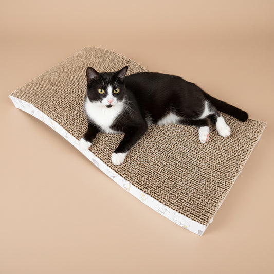 Cat lying on a corrugated cardboard scratcher on a beige background