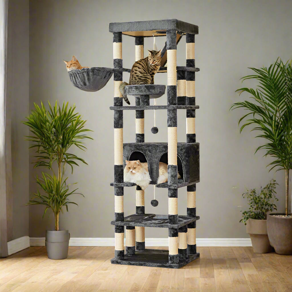 Amariani 74.8'' H Cat Tree