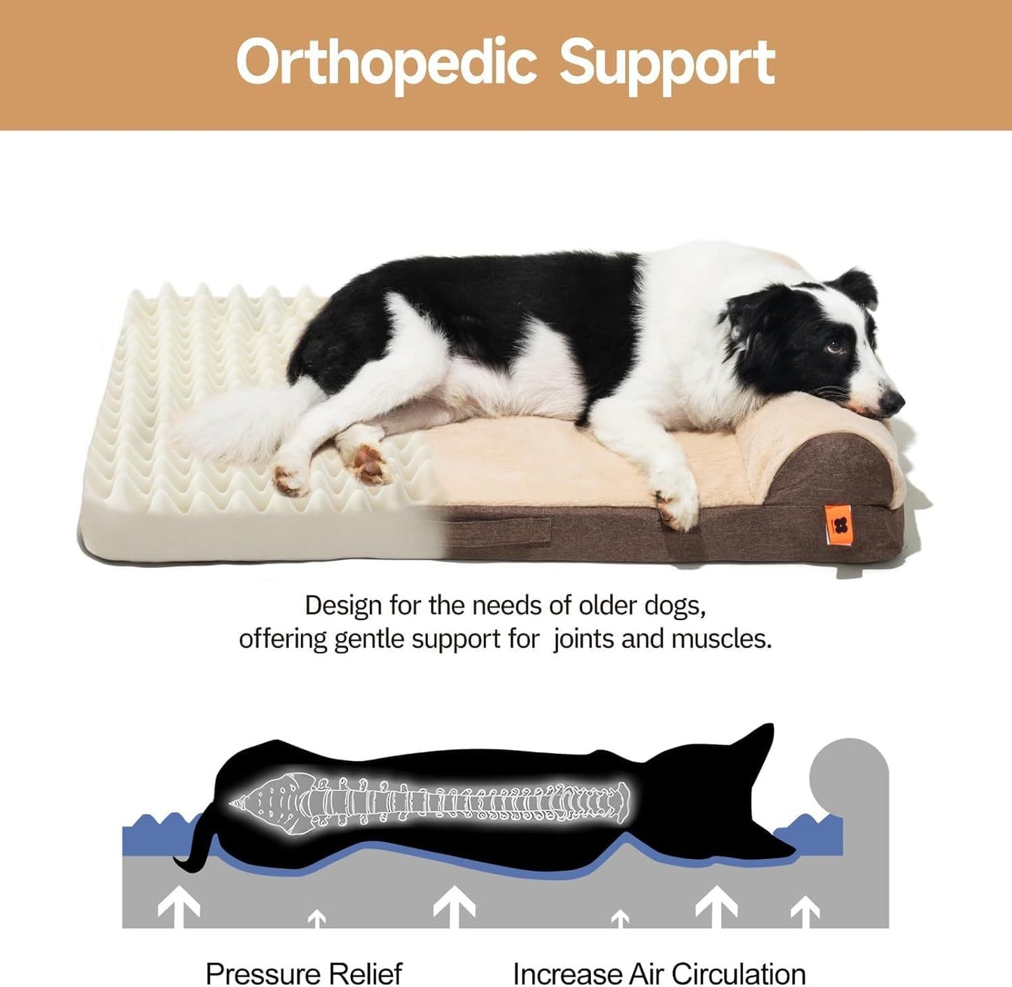 Orthopedic Dog Bed - Medium Dog Couch with Egg Foam Support, Waterproof Removable Cover, Head Support Bolster & Soft Velvet Surface