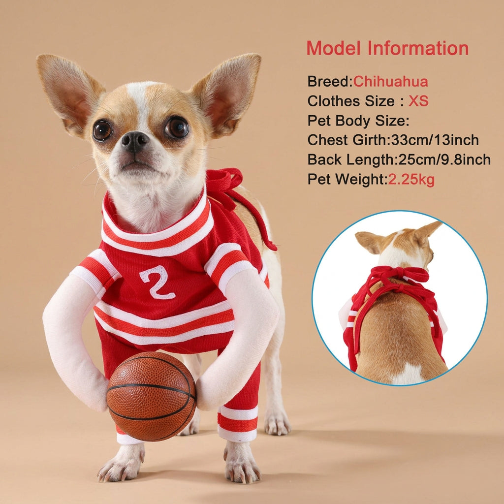 Chihuahua wearing a red and white outfit with number 2, holding a basketball, on a beige background.
