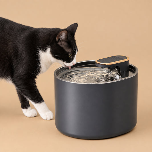 Tuxedo cat drinking from a dark blue pet water fountain on a beige background
