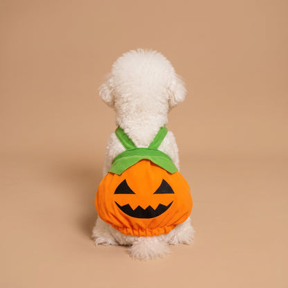 A small white dog sits on a beige background wearing an orange Halloween costume vest with a green bow.
