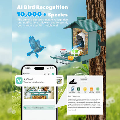 Bird feeder with camera and smartphone app displaying bird identification on a natural background