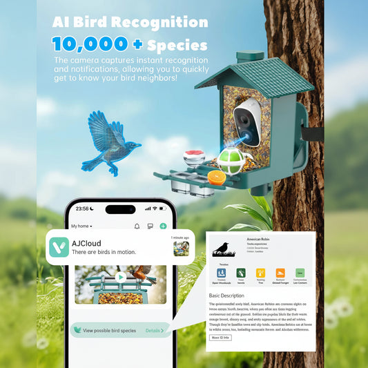 Bird feeder with camera and smartphone app displaying bird identification on a natural background