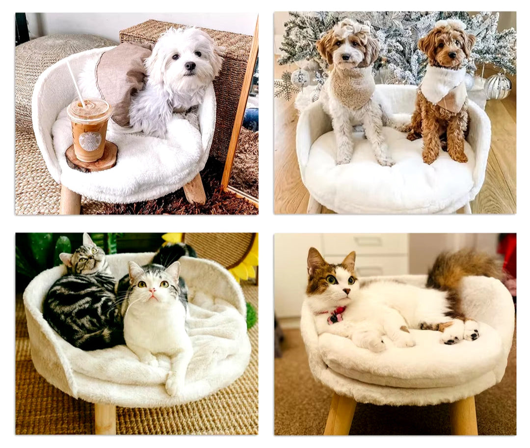 Luxury Cat Bed Soft Warm Plush Fabric Pet Nesting Chair Bed Stool Wood Legs with Cushion Pad Washable Waterproof for Small Pets