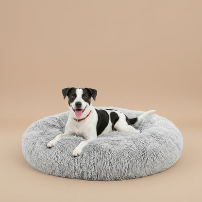 A beagle dog lying on a round, fluffy gray pet bed against a plain white background.