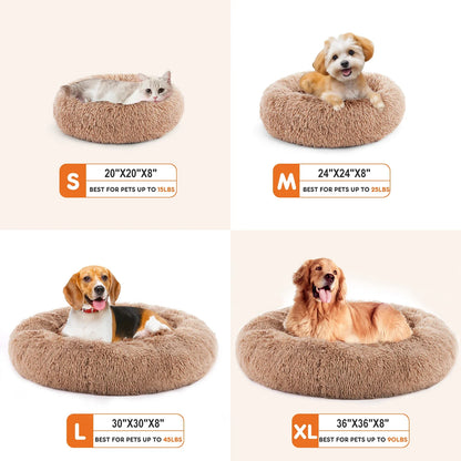 Four sizes of plush pet beds with pets on a white background