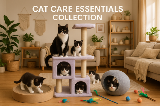 Cat care essentials collection with cats on a cat tree and in a cave in a cozy living room.