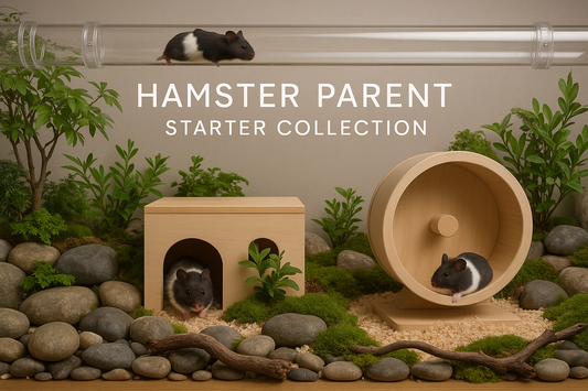 Hamster habitat with wooden house and wheel, plants, and stones, labeled 'Hamster Parent Starter Collection'.
