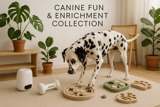 add smart bone and treat dispenser
