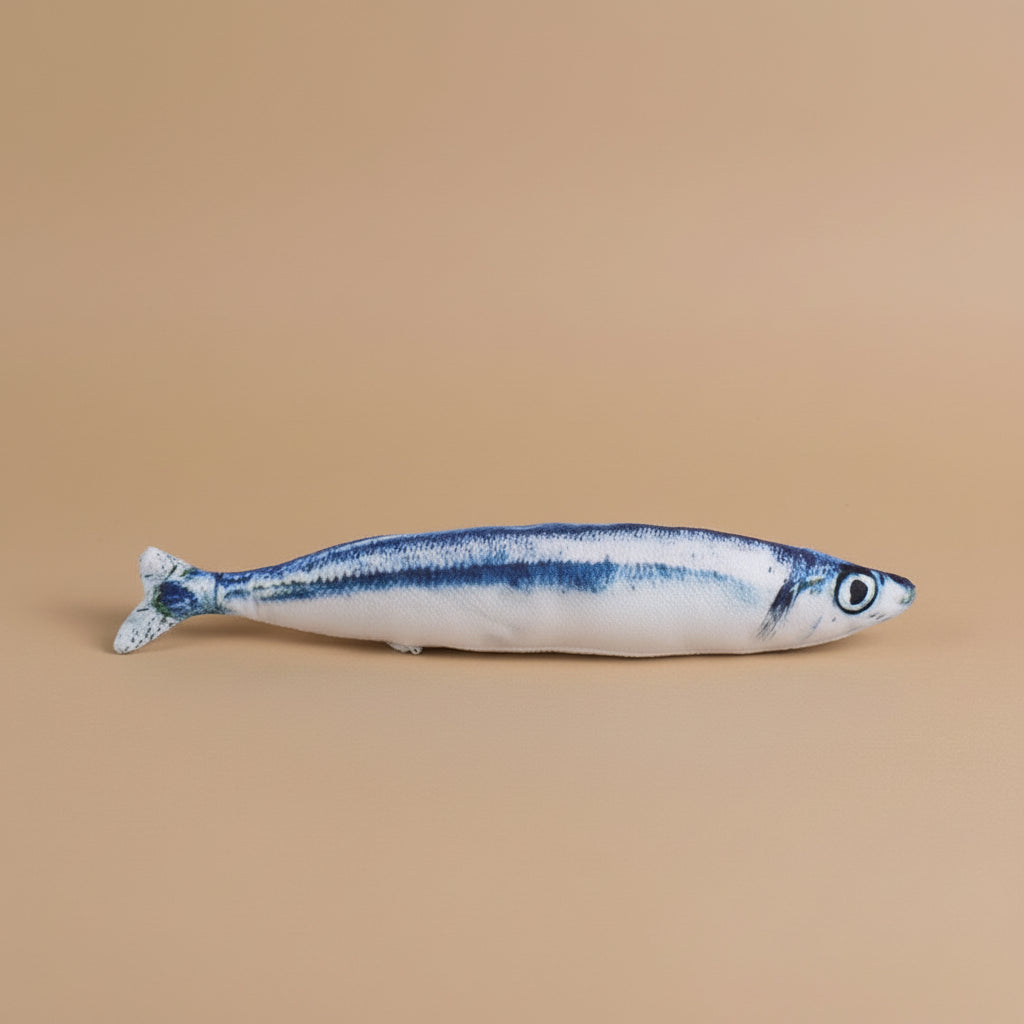 Model of a fish on a beige background