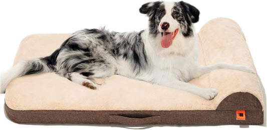 Orthopedic Dog Bed - Medium Dog Couch with Egg Foam Support, Waterproof Removable Cover, Head Support Bolster & Soft Velvet Surface