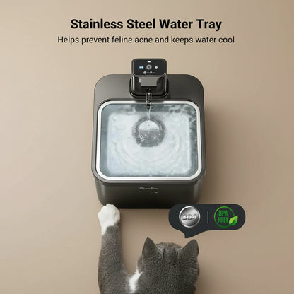 Cat interacting with a stainless steel water tray on a wooden floor