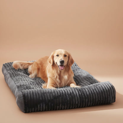 Dog lying on a gray pet bed with a beige background.