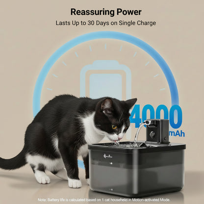 Cat interacting with a black electronic device labeled '4000 mAh' on a light gray background.