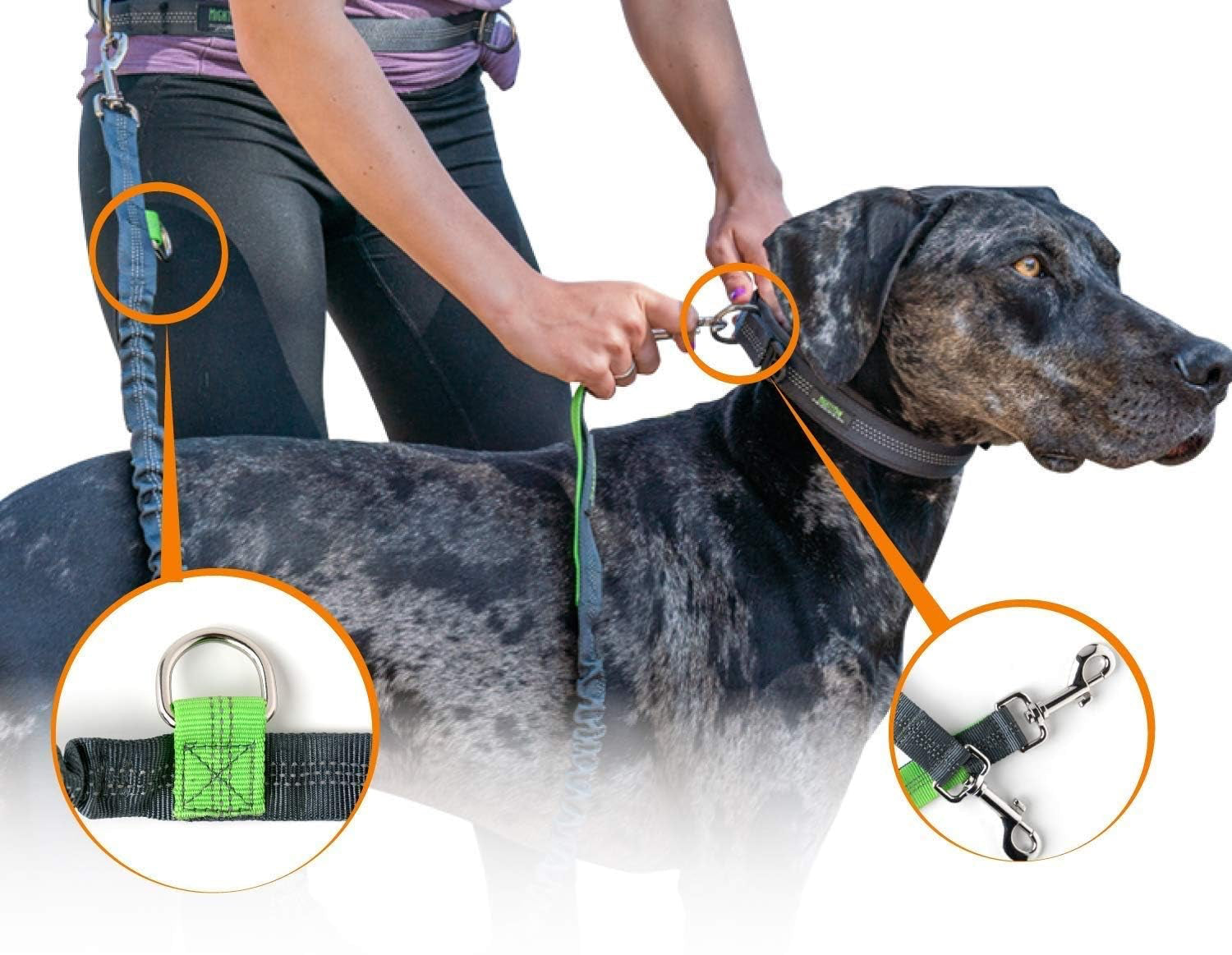 Hands Free Dog Leash | Bungee Waist Leash for Dog Walking. Pet Running Hands Free Tether for Large, Medium & Small Breeds. Pet Waist Belt (36" - 48") up to 150 Lbs - Gray