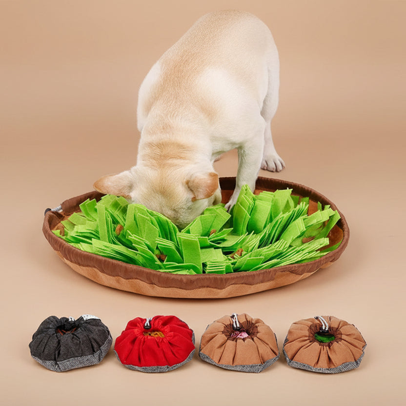 Dog playing with a green and brown dog toy shaped like grass, with additional toys displayed below.