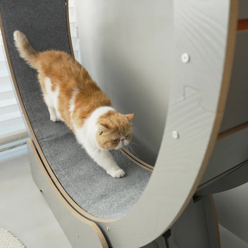 Denora 45'' Large Cat Running Wheel Treadmill