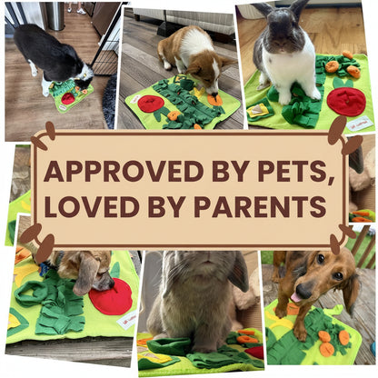Collage of pets interacting with a green mat with red and orange elements, accompanied by text 'Approved by Pets, Loved by Parents'.