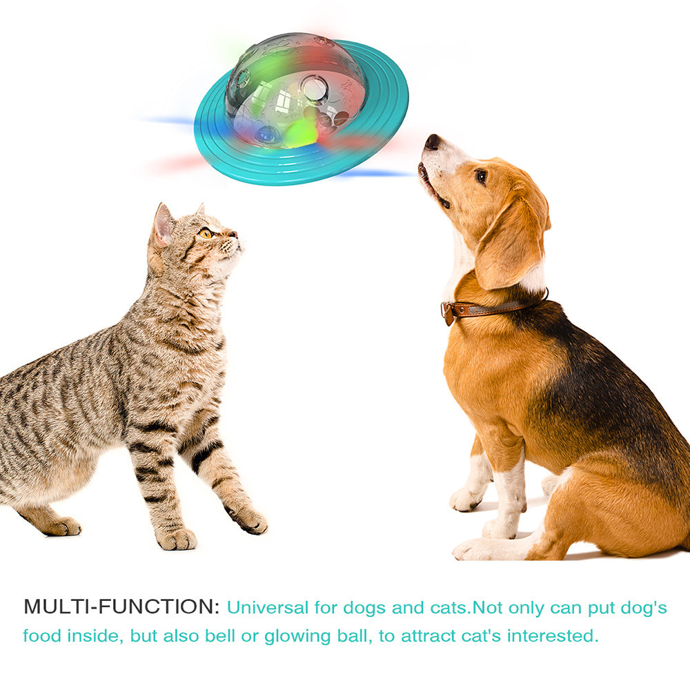 Cat and dog playing with a colorful ball toy on a white background
