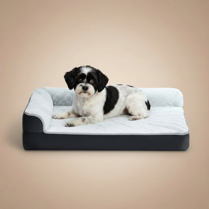 Black and white dog lying on a black and gray pet bed against a beige background