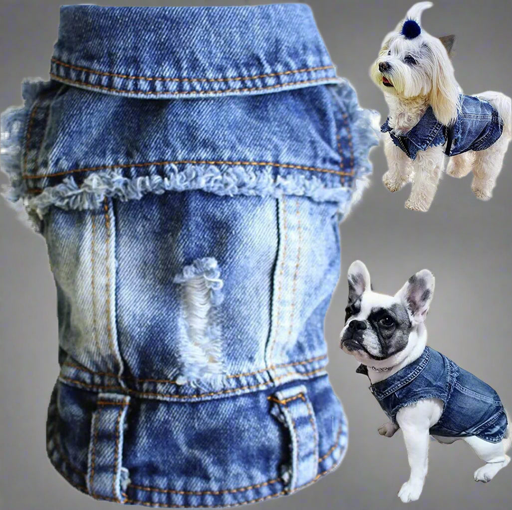 Blue denim dog jacket with lapel and button snaps
