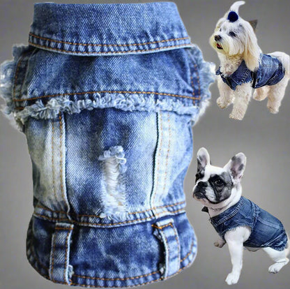 Blue denim dog jacket with lapel and button snaps
