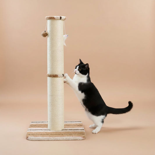 Cat climbing a scratching post with a beige background