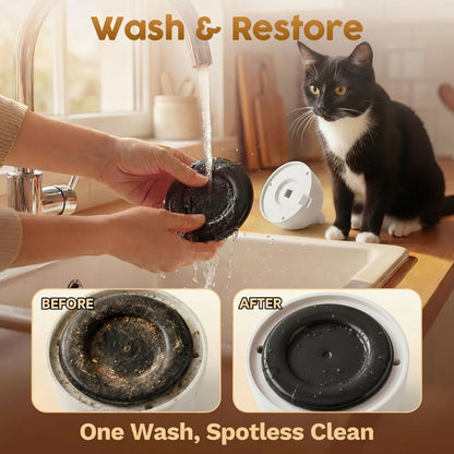 Person washing a dirty dish with water, showing before and after results, and a cat observing.