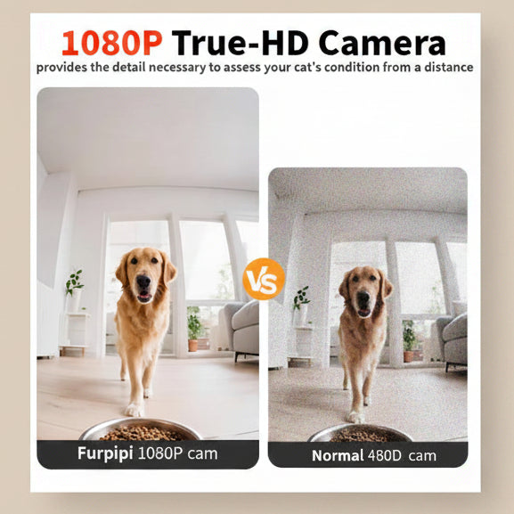 Comparison of Furpipi 1080P camera and normal 480D camera showing a dog in a room.