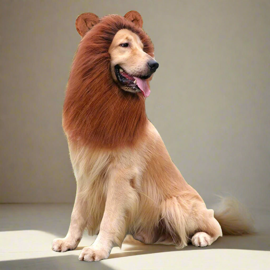 Lion Mane for Dog Costumes, Dog Lion Mane, Realistic Lion Wig for Medium to Large Sized Dogs, Large Dog Halloween Costumes, Lion Mane for Dog, Halloween Costumes for Dogs (Dark Brown)