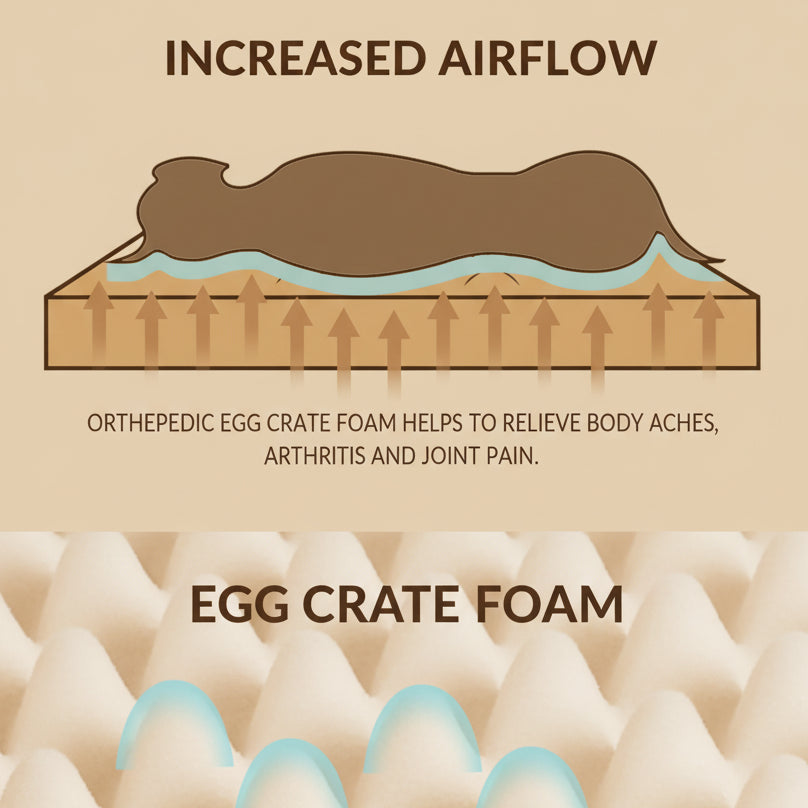 Illustration of orthopedic egg crate foam with text about increased airflow and pain relief.