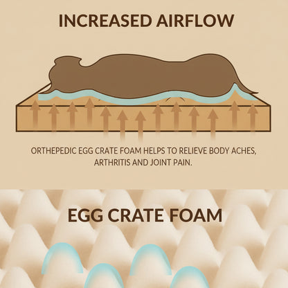 Illustration of orthopedic egg crate foam with text about increased airflow and pain relief.