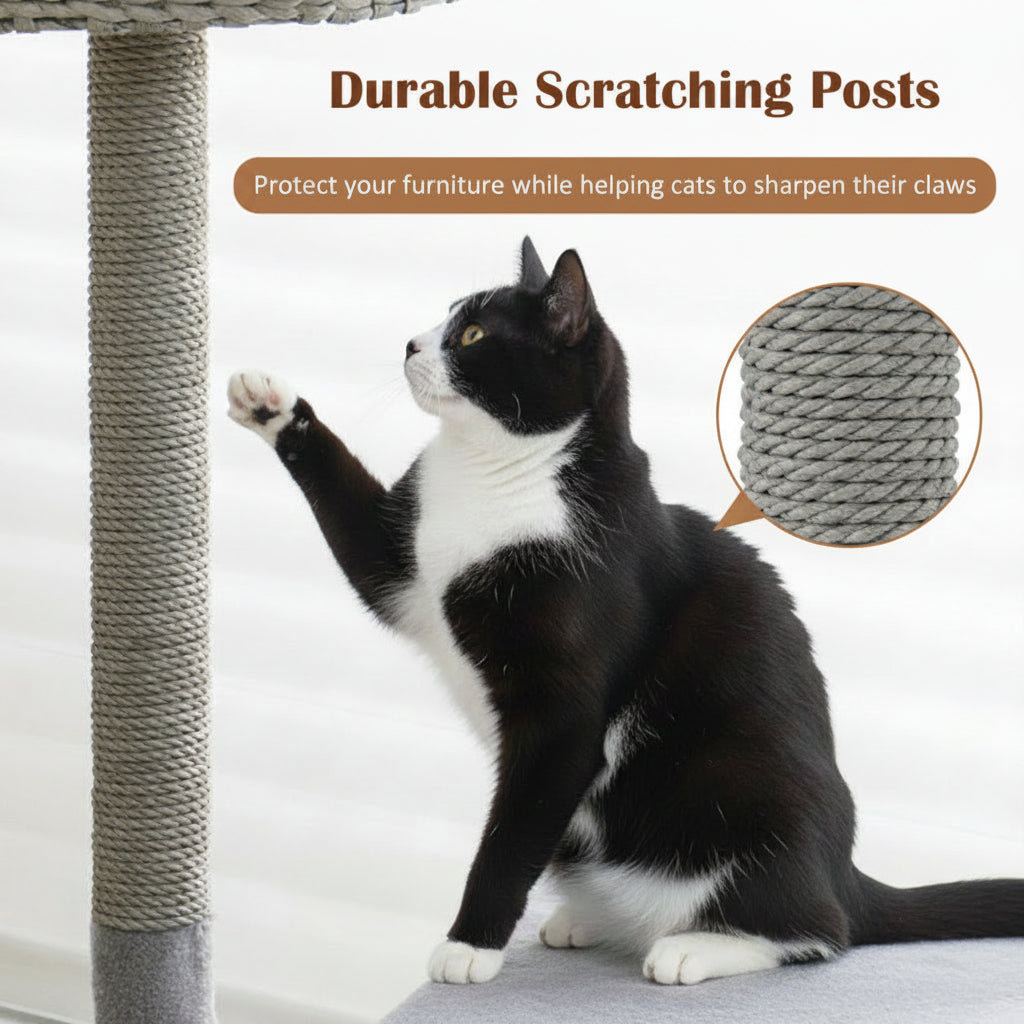 Cat using a scratching post with text about durable scratching posts and benefits.