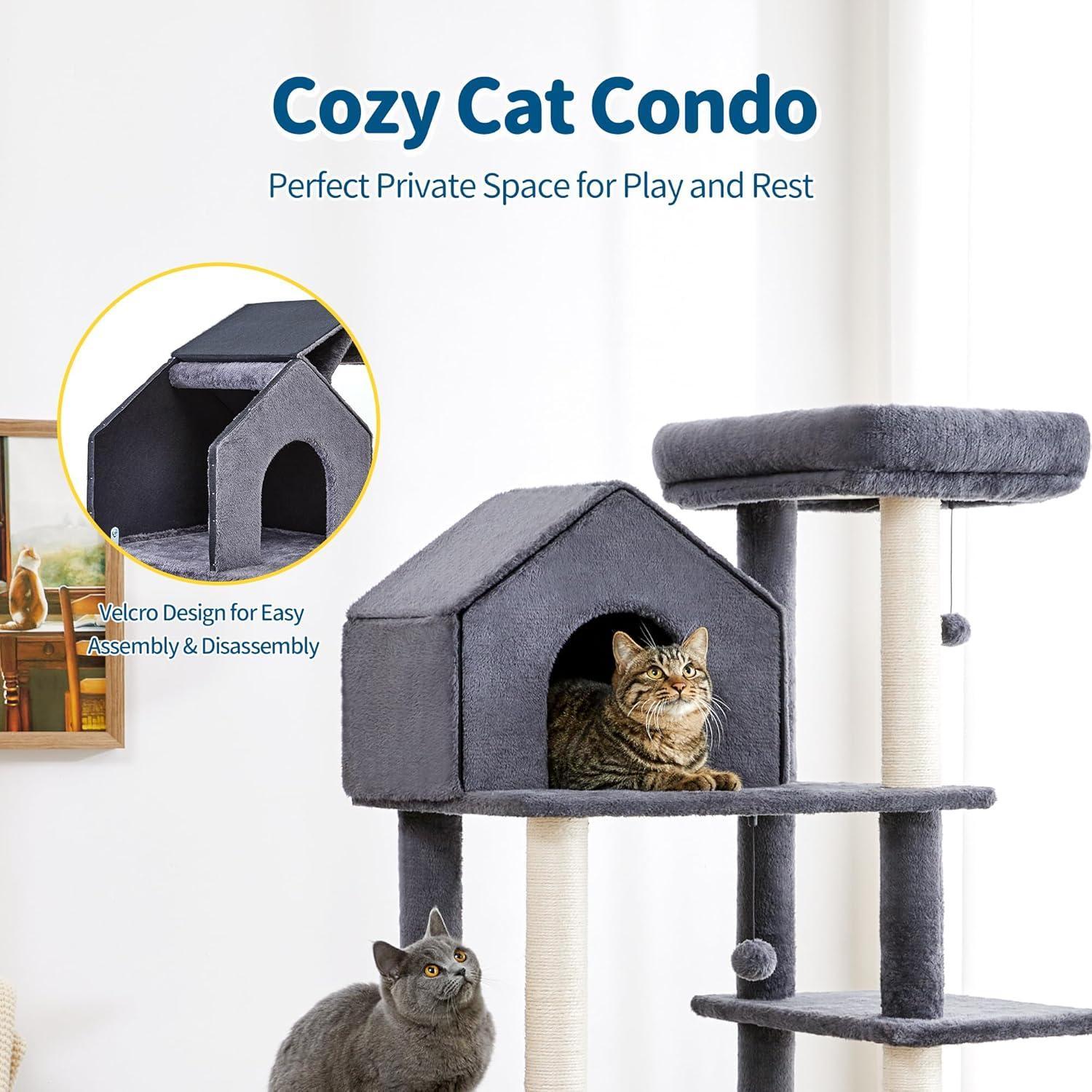 Cat condo with cats inside, labeled 'Cozy Cat Condo' on a white background.