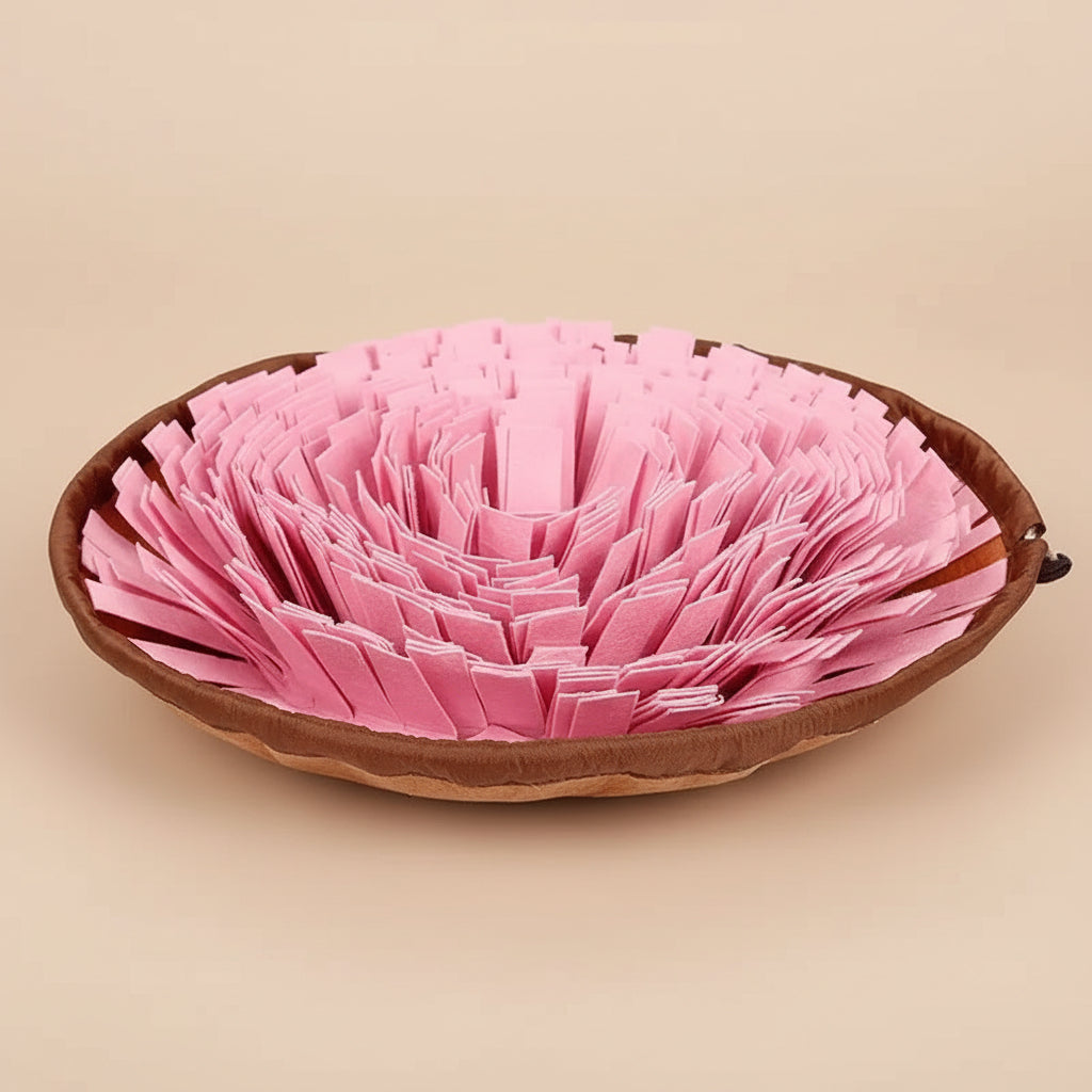 Pink pet bed with brown rim on a white background